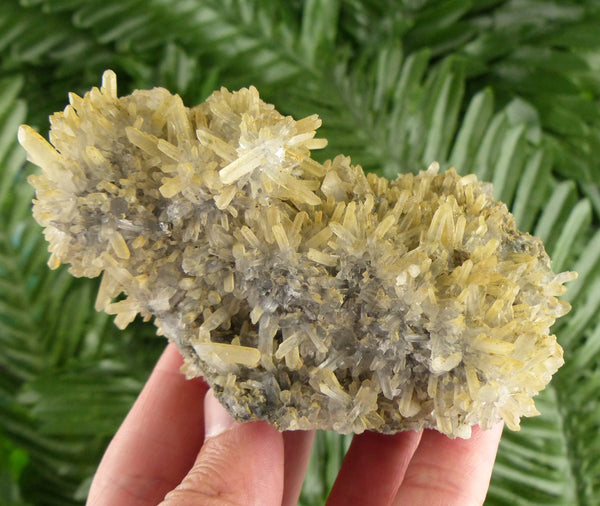 Amazing Quartz  Crystal, Quartz Crystal, Mineral, Natural Crystal, Raw Crystals B3633