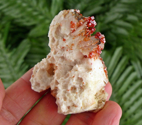 Red Vanadinite with Baryte from Morocco, Crystals, Mineral, natural Crystal, Raw Crystals, Red Crystals, Vanadinite