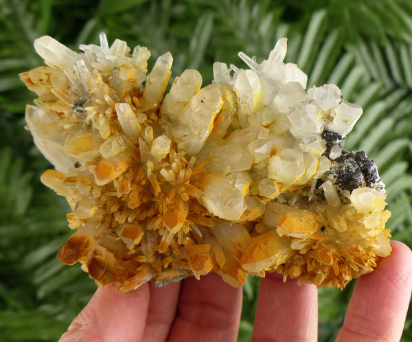 Amazing Quartz  with Iron Oxide , Crystal, Mineral, Natural Crystal, Raw Crystals B3647