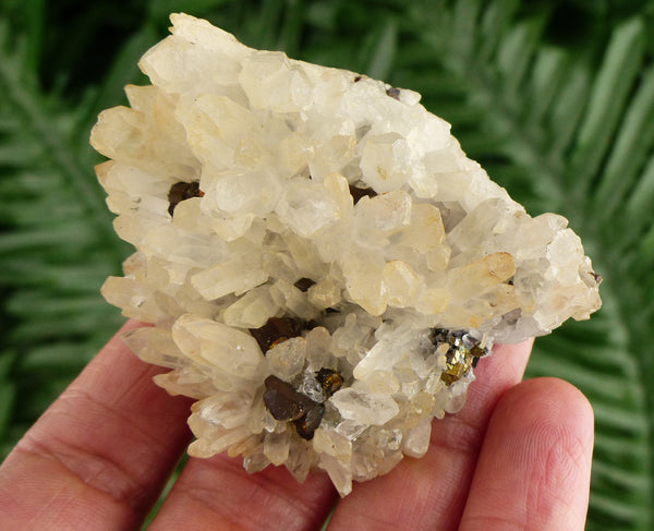 Amazing Quartz with Chalcopyrite, Crystal, Mineral, Natural Crystal, Raw Crystals B3641