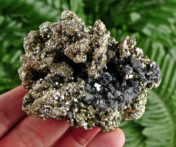 Rare Pyrite Crystal with Galena from new find, Pyrite Crystal, Galena , Pyrite, Crystals, Minerals, Natural Crystal B3636