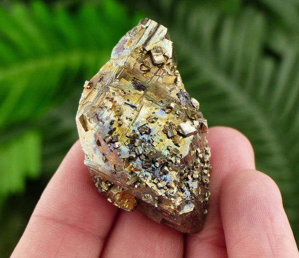 Amazing Iridescent PYRITE (Fool's Gold) Crystal from famous Borieva Mine, Bulgaria , Crystal, Mineral, Natural Crystal