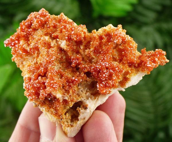 Red Vanadinite with Baryte from Morocco, Crystal, Mineral, natural Crystal, Raw Crystals, Red Crystals, Vanadinite,  N