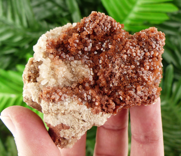 Amazing BIG Aragonite from Morocco ,Aragonite Sputnik, Crystal, Raw Stone Cluster, Mineral, Stones B891