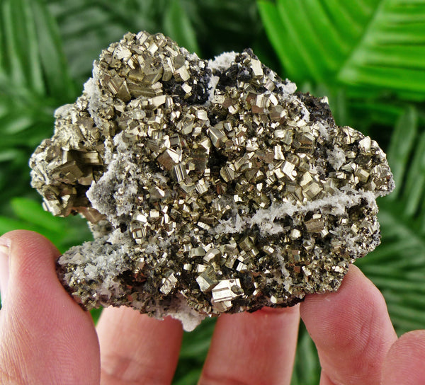 Pyrite with Quartz, Shiny Crystal, Natural Mineral, Natural Crystal, Raw Crystals, Pyrite Crystals, Quartz Crystals, Raw Crystal Ore