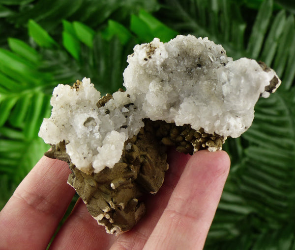 Amazing Two Generation Calcite Crystals with Chlorite and Quartz, Crystals, Mineral, Natural Crystal , Raw Crystals B257