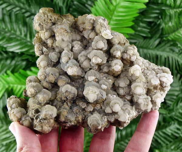 Amazing Two Generation Calcite Crystals with Chlorite, Crystals, Mineral, Natural Crystal, Raw Crystals B1127