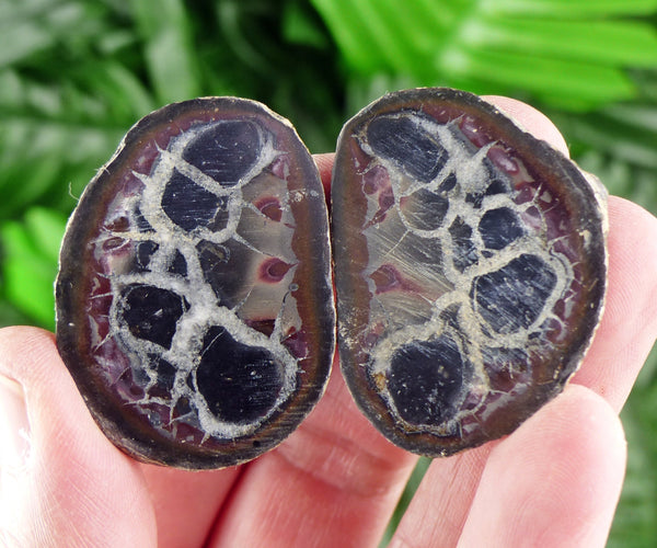 Dragonstones Pair, Septarian Nodule Geode, Septaria, Dragonstone, Aragonite, Septarian Nodules, Dragon Stone Healing Stone, Limestone B215