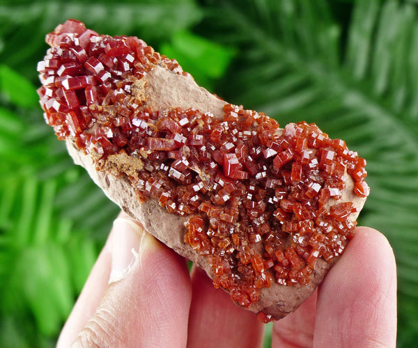 Red Vanadinite from Morocco, Crystal, Mineral, natural Crystal, Raw Crystals, Red Crystals, Vanadinite