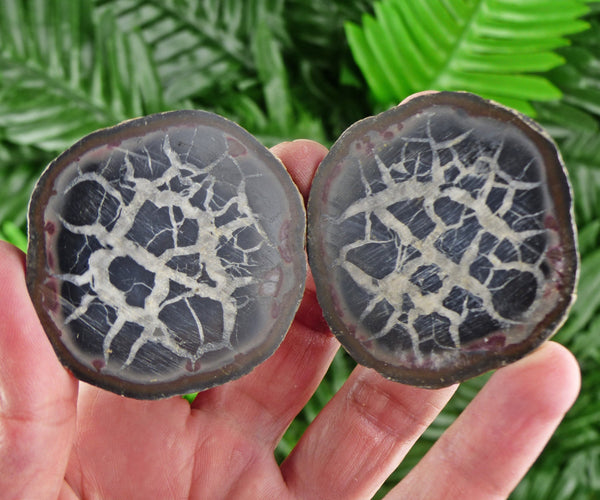 Dragonstones Pair, Septarian Nodule Geode, Septaria, Dragonstone, Aragonite, Septarian Nodules, Dragon Stone Healing Stone, Limestone B334