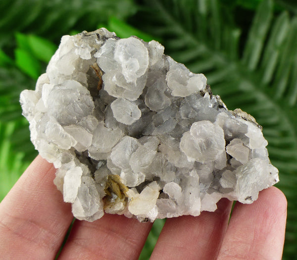 Rare Calcite Crystallization, Crystal, Mineral, Natural Crystal, Raw Crystals