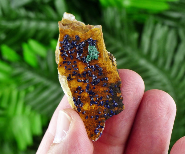 Amazing Raw Azurite Crystal on Quartz, Azurite Malachite Crystal Cluster, Raw Azurite Stone, Raw Malachite Azurite Crystal B229