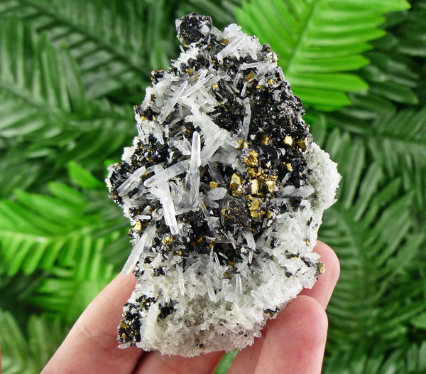 Very Rare Sphalerite with Chalcopyrite on Quartz, Crystal, Mineral , Natural Crystal B125