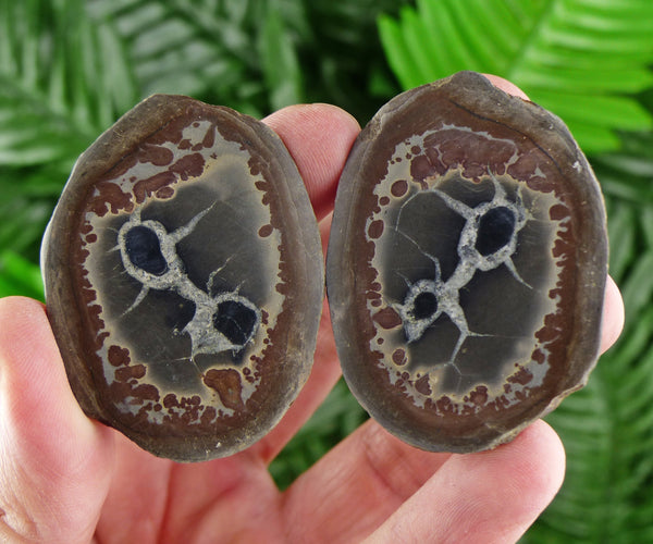 Dragonstones Pair, Septarian Nodule Geode, Septaria, Dragonstone, Aragonite, Septarian Nodules, Dragon Stone Healing Stone, Limestone B553