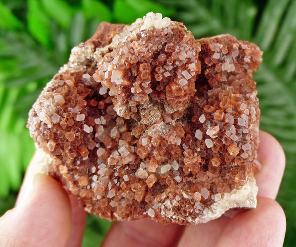 Amazing Aragonite from Morocco, Aragonite Sputnik, Raw Crystals, Raw Stone Cluster, Natural Mineral, Stones B813