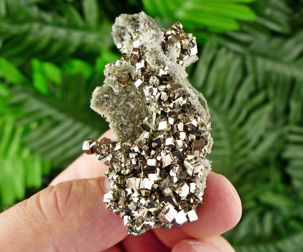 Pyrite with Quartz and Chlorite, Quartz Crystal, Pyrite Cube, Raw Crystal, Natural Mineral, Crystal Cluster, Mineral Specimen B461