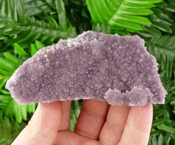 Rare Amethyst Crystal, Bulgarian Amethyst, Raw Crystal, Natural Mineral, Amethyst Crystal, Amethyst Cluster B799