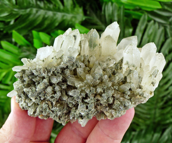 Rare Quartz with Chlorite, Raw Crystal, Natural Mineral, Natural Crystal, Quartz Cluster, Chlorite B459