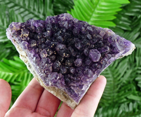 Rare Deep Purple Amethyst from Bulgaria, Amazing Color, Crystal, Mineral, Amethyst Crystal, Amethyst Mineral, Amethyst Cluster B1136