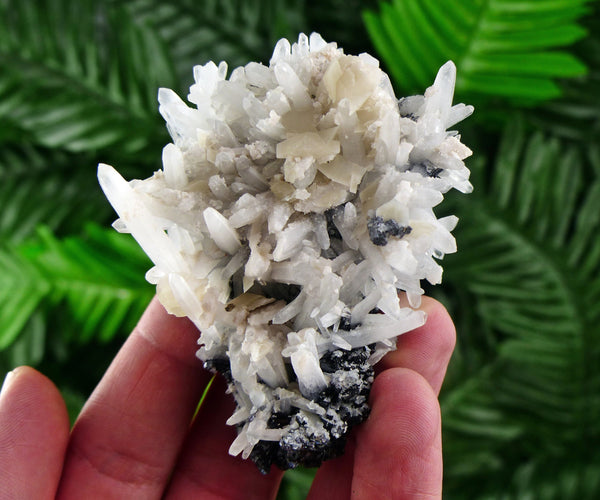 Calcite on Quartz with Sphalerite, Raw Crystal, Natural Mineral, Crystal Cluster, Mineral Specimen, Raw Calcite Crystal B1090