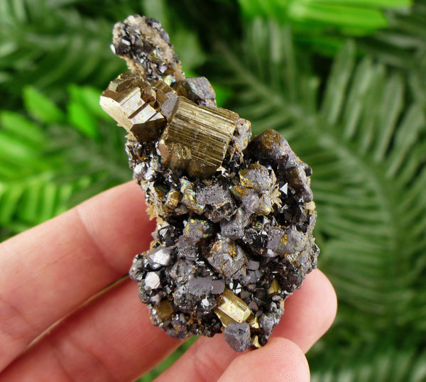 Galena with Sphalerite and Pyrite | Healing Crystal | Galena Crystal | Sphalerite Stone | Raw Sphalerite | Sphalerite Cluster