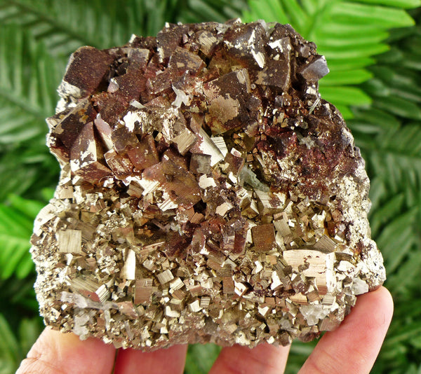 Amazing Pyrite with Hematite, Pyrite and Hematite, Red Pyrite, Crystal, Mineral, Natural Crystal B581