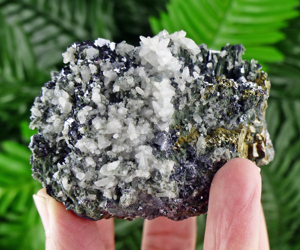 Galena with Calcite and Chalcopyrite, Natural Crystal, Raw Mineral, Crystal Cluster, Milky Quartz B503