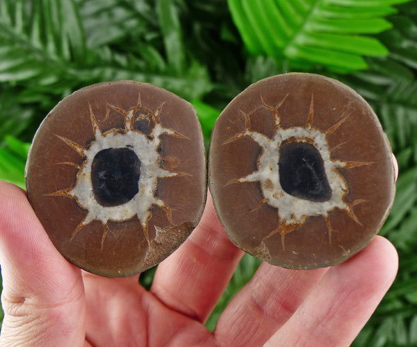 Dragonstones Pair, Septarian Nodule Geode, Septaria, Dragonstone, Aragonite, Septarian Nodules, Dragon Stone Healing Stone, Limestone B1160