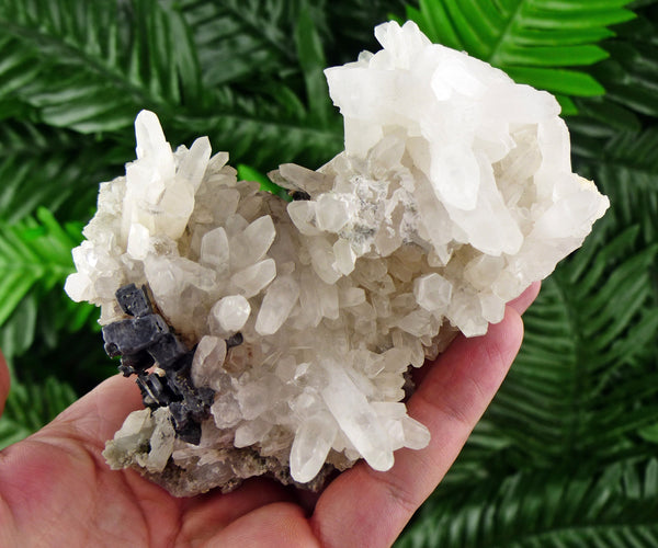 Quartz with Galena, Raw Crystal, Mineral, Natural Crystal, Crystal Cluster, Galena B1188