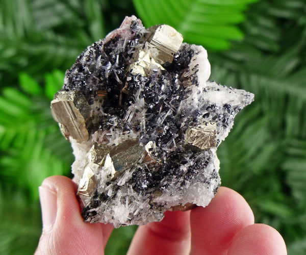 Pyrite with Sphalerite, Pyrite Cubes, Natural Crystal, Natural Mineral, Raw Crystal, Healing Crystal B1100