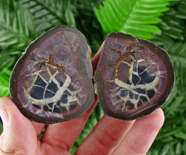 Dragonstones Pair, Septarian Nodule Geode, Septaria, Dragonstone, Aragonite, Septarian Nodules, Dragon Stone Healing Stone, Limestone B402