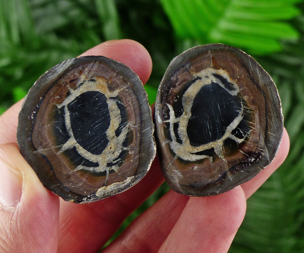 Dragonstones Pair, Septarian Nodule Geode, Septaria, Dragonstone, Aragonite, Septarian Nodules, Dragon Stone Healing Stone, Limestone B290