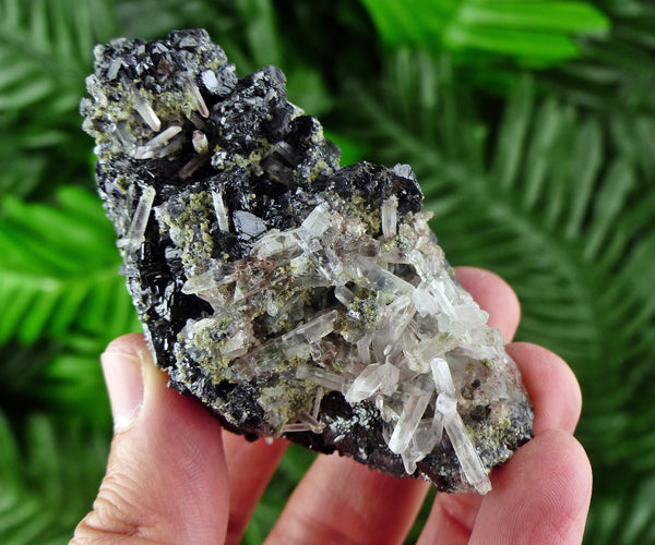 Quartz with Sphalerite, Raw Crystal, Mineral, Natural Crystal, Crystal Cluster, Quartz Crystal, Sphalerite B822