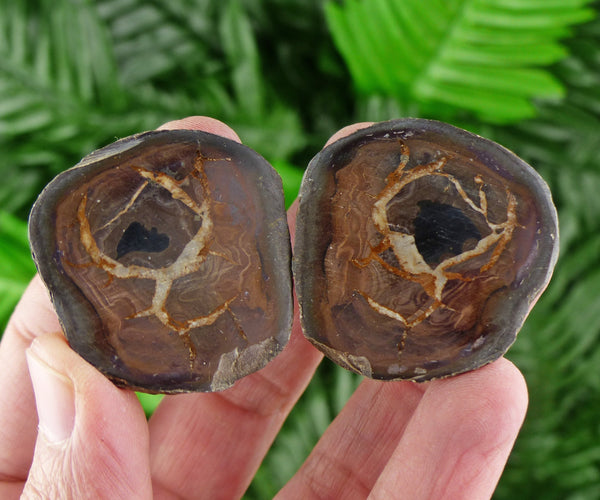 Dragonstones Pair, Septarian Nodule Geode, Septaria, Dragonstone, Aragonite, Septarian Nodules, Dragon Stone Healing Stone, Limestone B140