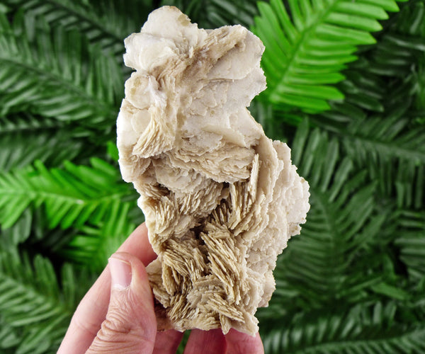 Rare Calcite Crystallization, Raw Mineral, Natural Crystal, Raw Crystals, Calcite Crystal B139