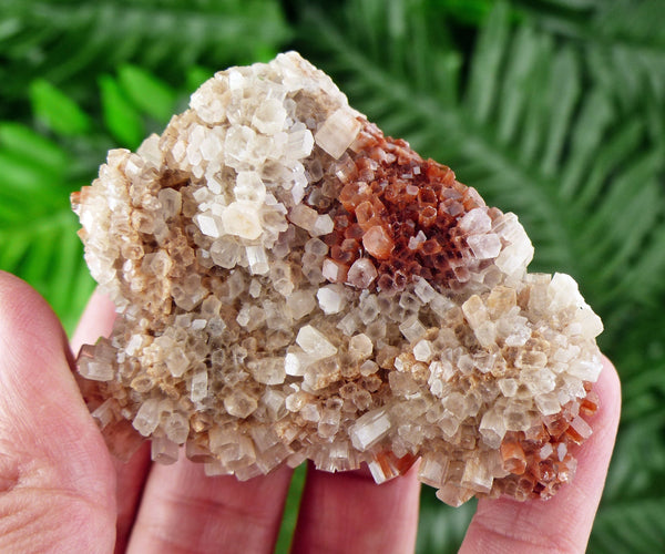 Amazing Aragonite from Morocco, Aragonite Sputnik, Raw Crystals, Raw Stone Cluster, Natural Mineral, Stones B907