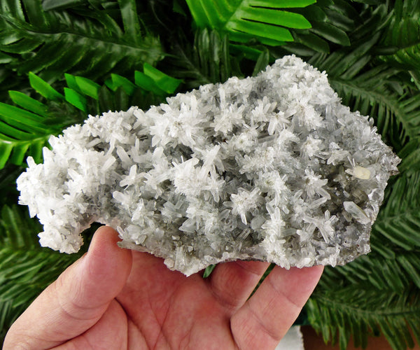 Milky Quartz Crystals, Mineral, Natural Crystal, Raw Crystals, Milky Quartz Crystal, White Quartz, Quartz Cluster, Crystal Cluster B317