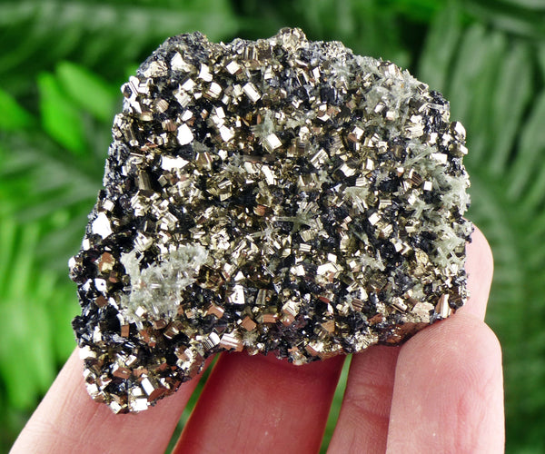 Rare Pyrite with Sphalerite Crystals, Minerals , Natural Crystals, Quartz, Chlorite, Green Quartz, Sphalerite B483