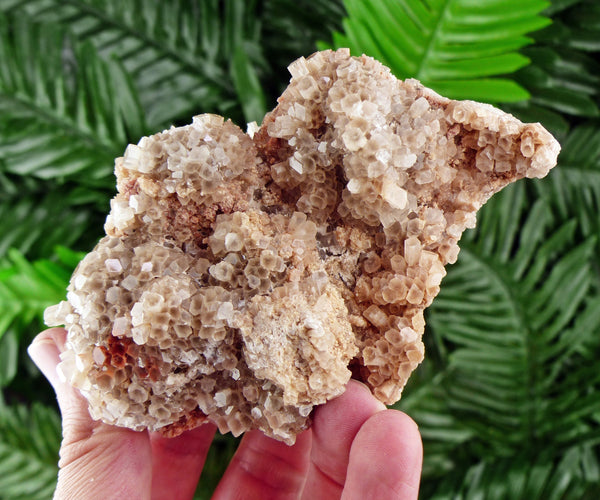 Amazing Aragonite from Morocco, Aragonite Sputnik, Raw Crystals, Raw Stone Cluster, Natural Mineral, Stones B917