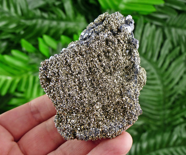 Pyrite on Galena Crystal, Galena Crystal, Pyrite Cubes, Natural Mineral, Natural Crystal, Mineral Stone B1168