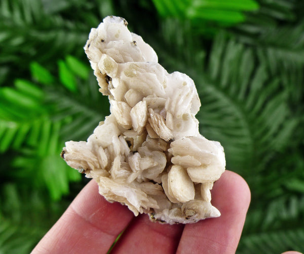 Rare Calcite Crystallization, Raw Mineral, Natural Crystal, Raw Crystals, Calcite Crystal B1179