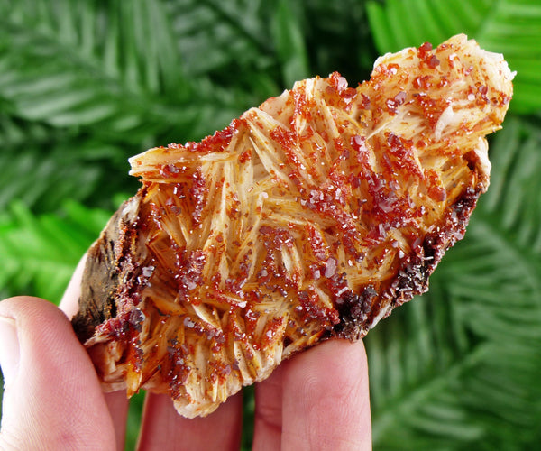 Red Vanadinite with Baryte, Red Crystal, Raw Crystal, Natural Mineral, Red Vanadinite from Morocco B114