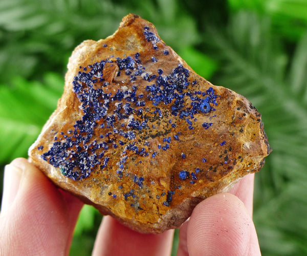 Raw Azurite Crystal with Malachite, Azurite Malachite Crystal Cluster, Raw Azurite Stone, Raw Malachite Azurite Crystal B103