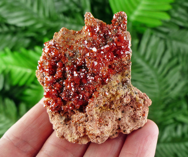 Red Vanadinite, Vanadinite Crystal, Vanadinite, Raw Crystal, Natural Mineral, Crystal Cluster, Healing Crystal, Mineral Specimen B371