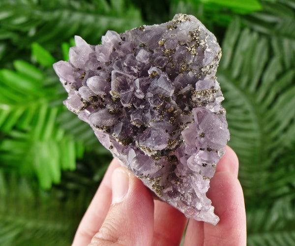 Amethyst with Pyrite, Purple Crystals, Mineral, Raw Crystals, Healing Crystals and Stones, Pyrite, Amethyst B159