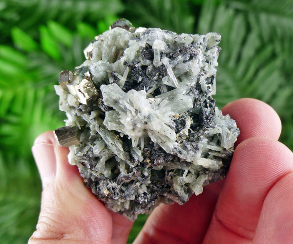 Rare Green Prasem Quartz with Pyrite Crystals, Minerals, Natural Crystals, Quartz, Chlorite, B1101