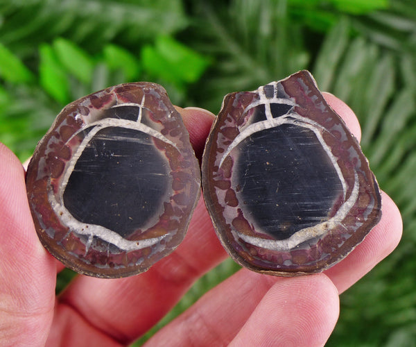 Dragonstones Pair, Septarian Nodule Geode, Septaria, Dragonstone, Aragonite, Septarian Nodules, Dragon Stone Healing Stone, Limestone B667