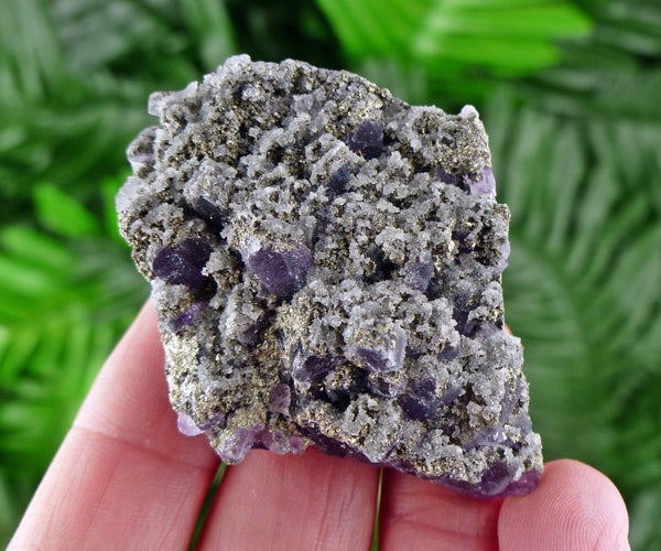 Amethyst with Pyrite, Purple Crystals, Mineral, Raw Crystals, Healing Crystals and Stones, Pyrite, Amethyst B1049