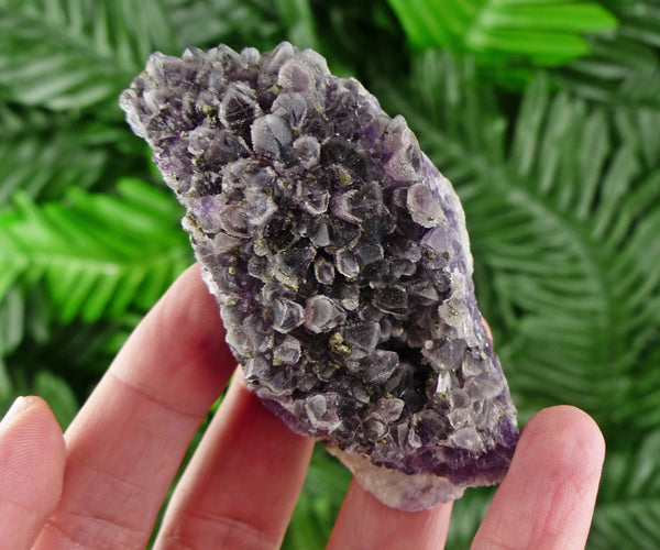 Amethyst with Pyrite, Purple Crystals, Mineral, Raw Crystals, Healing Crystals and Stones, Pyrite, Amethyst B1055