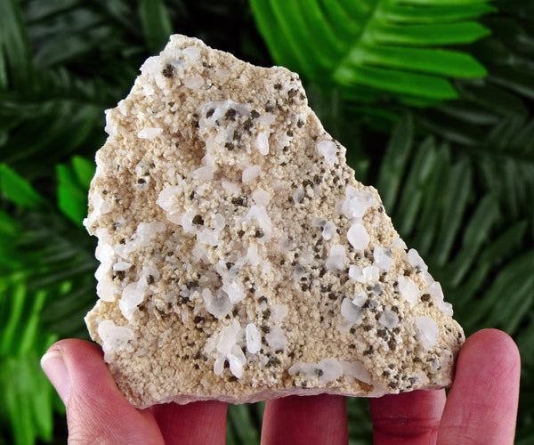 Rare Two Generation Calcite with Chalcopyrite, Crystal, Mineral, Natural Crystal, Mineral Stone B668